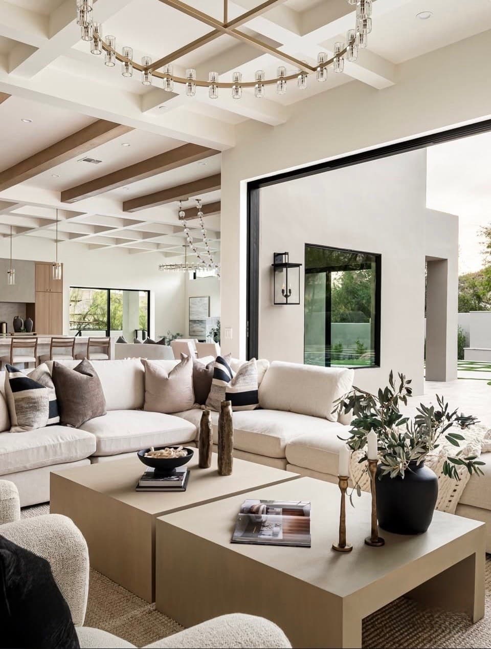 Designer Living Room